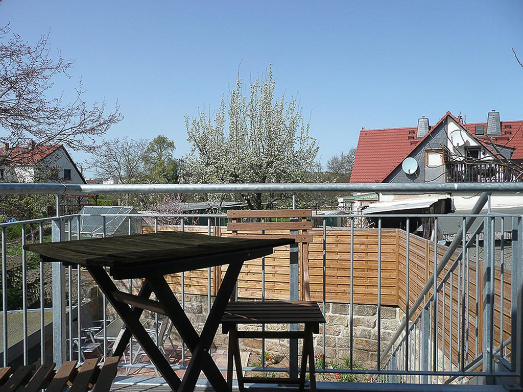 Am Elberadweg * Dresda