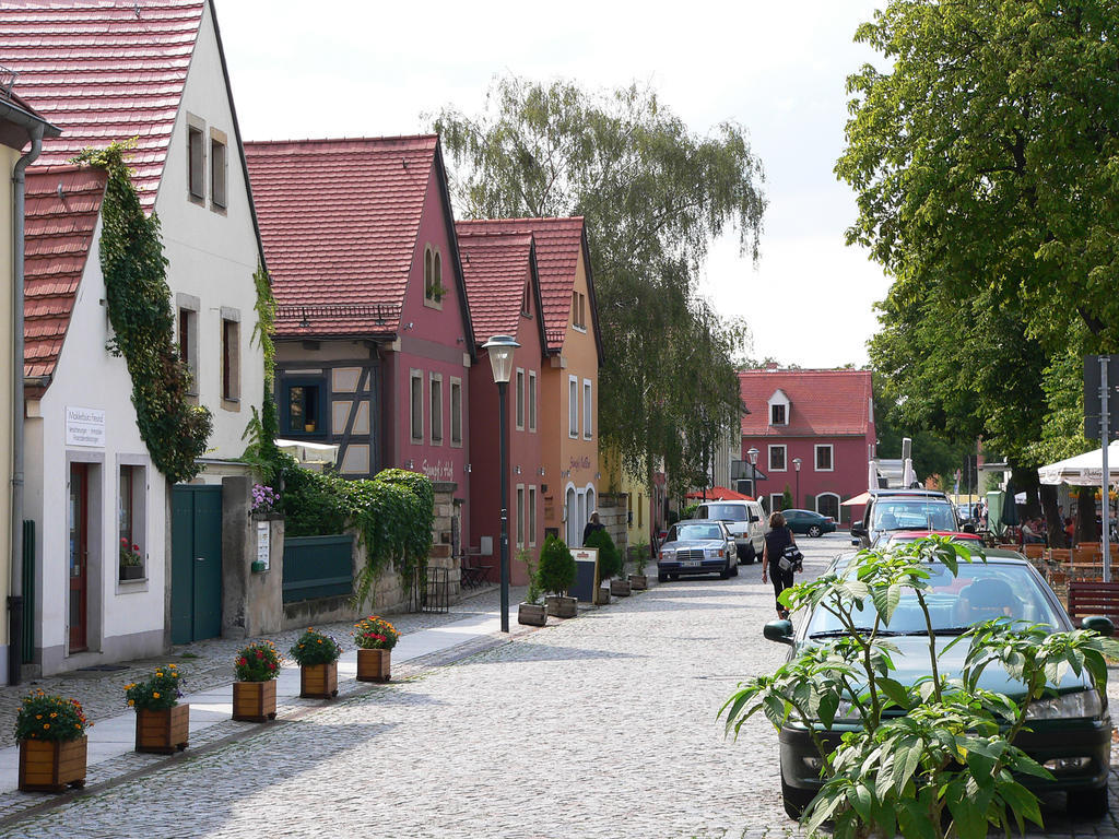 Am Elberadweg * Dresda